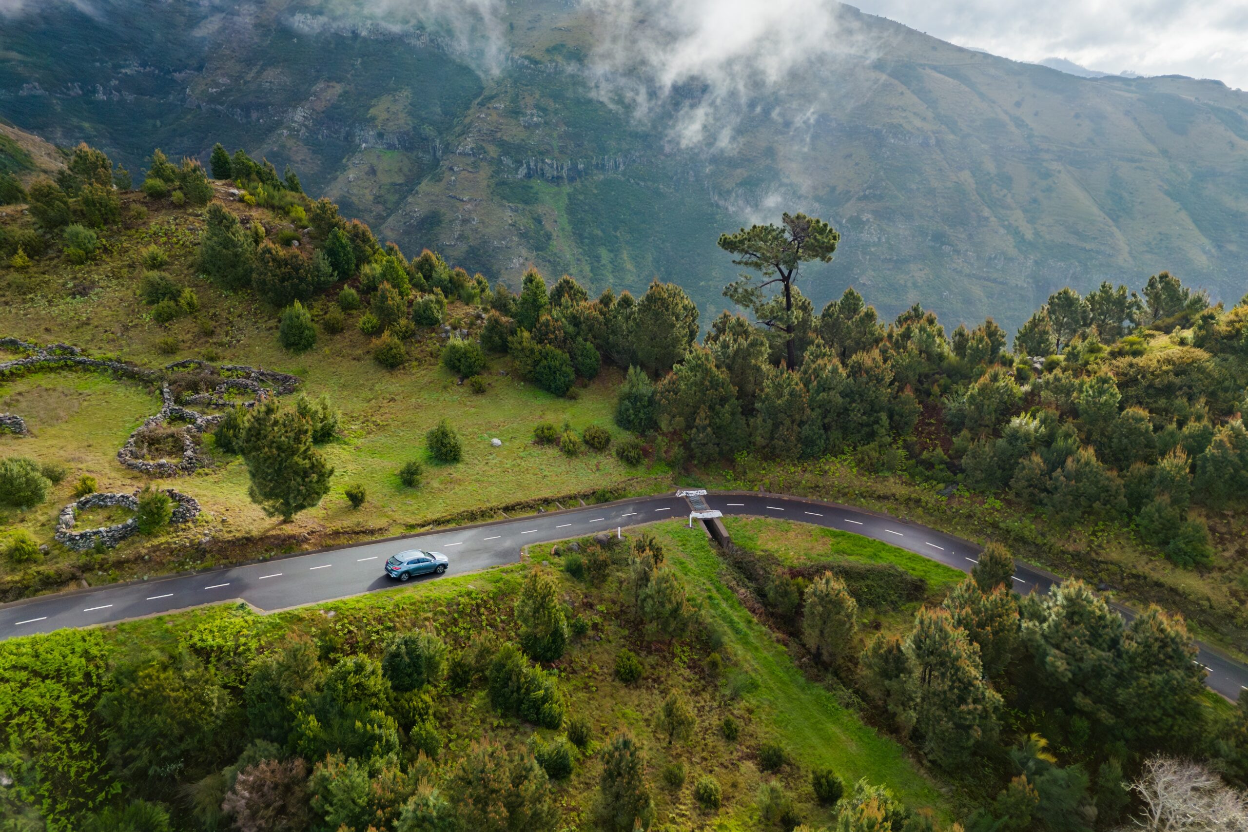 Electric car on a mountain road surrounded by dense vegetation.