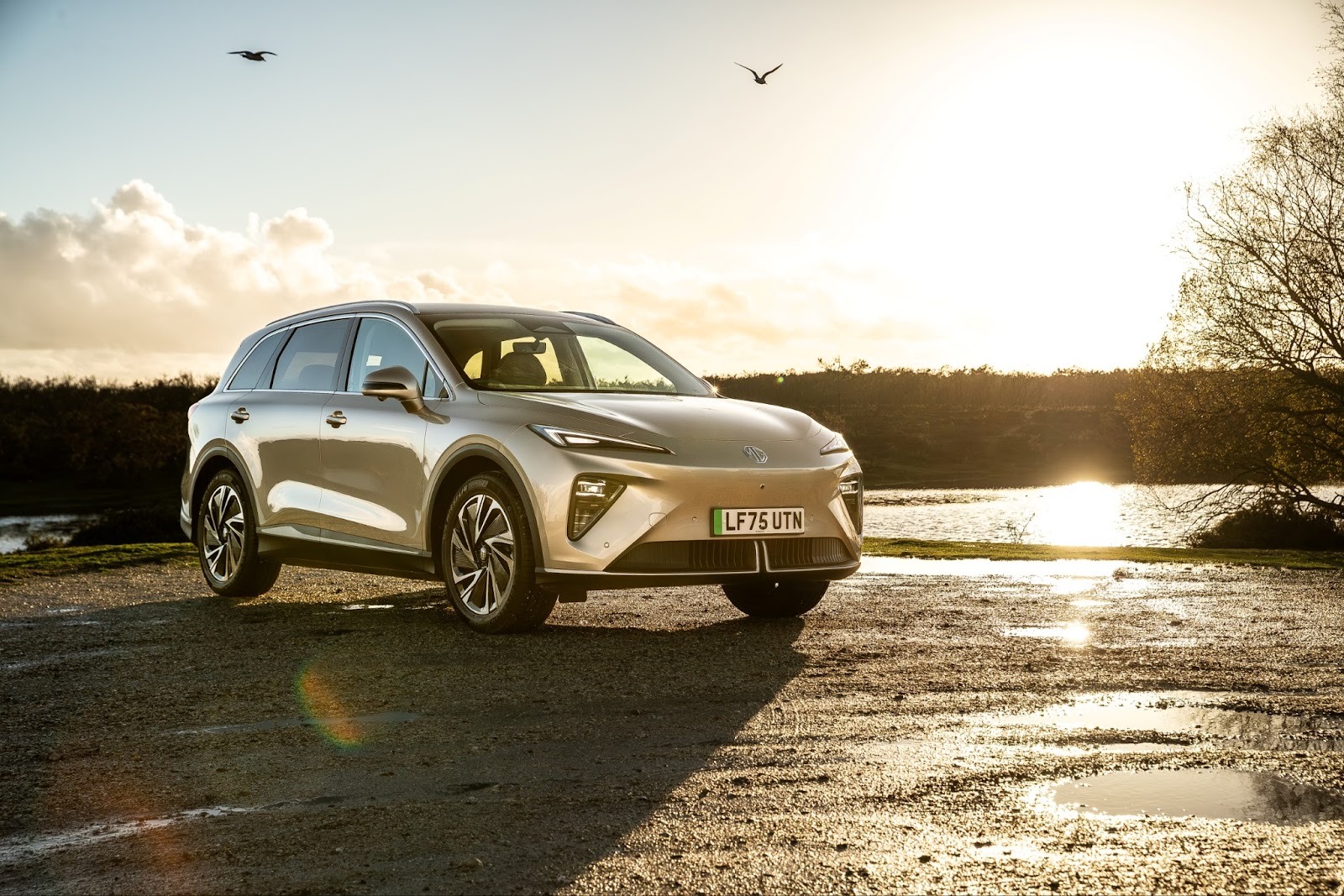 Image de l’article